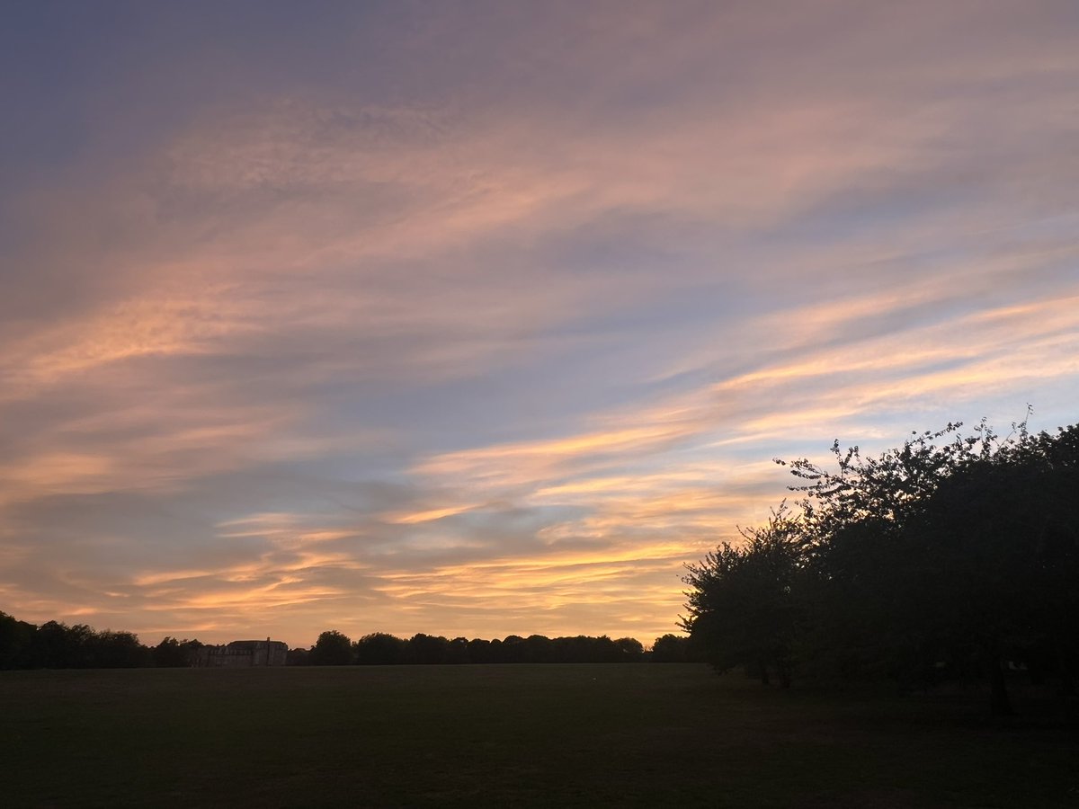nbj_jtn's tweet photo. Views from Evening Stroll 🚶‍♀️ https://t.co/4nFXinsjZF