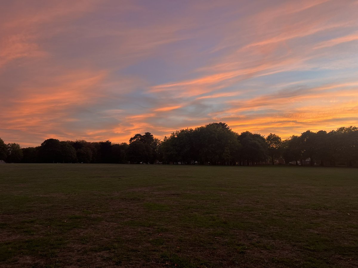 nbj_jtn's tweet photo. Views from Evening Stroll 🚶‍♀️ https://t.co/4nFXinsjZF