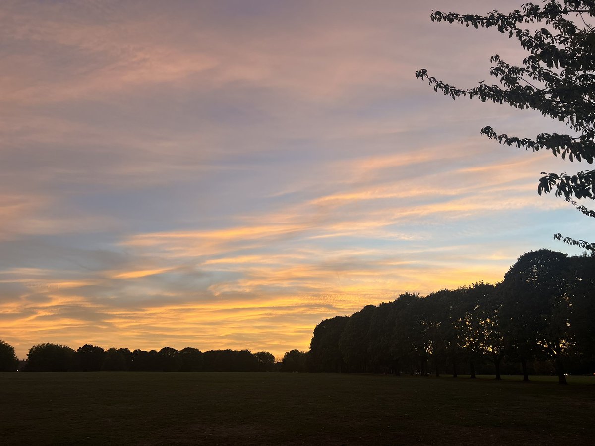 nbj_jtn's tweet photo. Views from Evening Stroll 🚶‍♀️ https://t.co/4nFXinsjZF