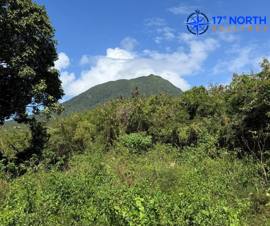 17_DegreesNorth's tweet photo. 1.72 acres for sale in Montpelier, Nevis—quiet, private and just 6 mins from Charlestown. Ideal for a home, retreat or development.

US$175,000
Details: https://t.co/lYu54ljqft
Call: 869-662-9259

#realestateinnevis #landforsaleinnevis https://t.co/wZSMHeFdLD