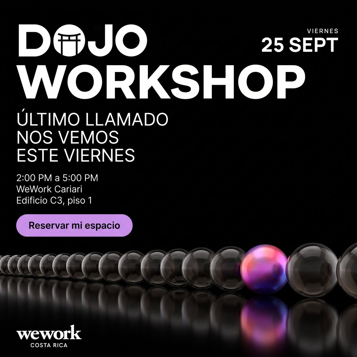 Dojo_Coding tweet picture