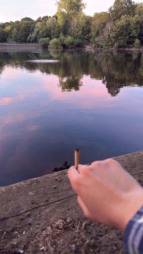 kittyminecrft's tweet photo. streets are saying this is the best smoke spot of all time https://t.co/fnaJPshaie