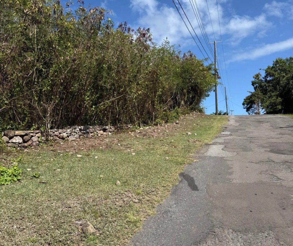 17_DegreesNorth's tweet photo. 1.72 acres for sale in Montpelier, Nevis—quiet, private and just 6 mins from Charlestown. Ideal for a home, retreat or development.

US$175,000
Details: https://t.co/lYu54ljqft
Call: 869-662-9259

#realestateinnevis #landforsaleinnevis https://t.co/wZSMHeFdLD