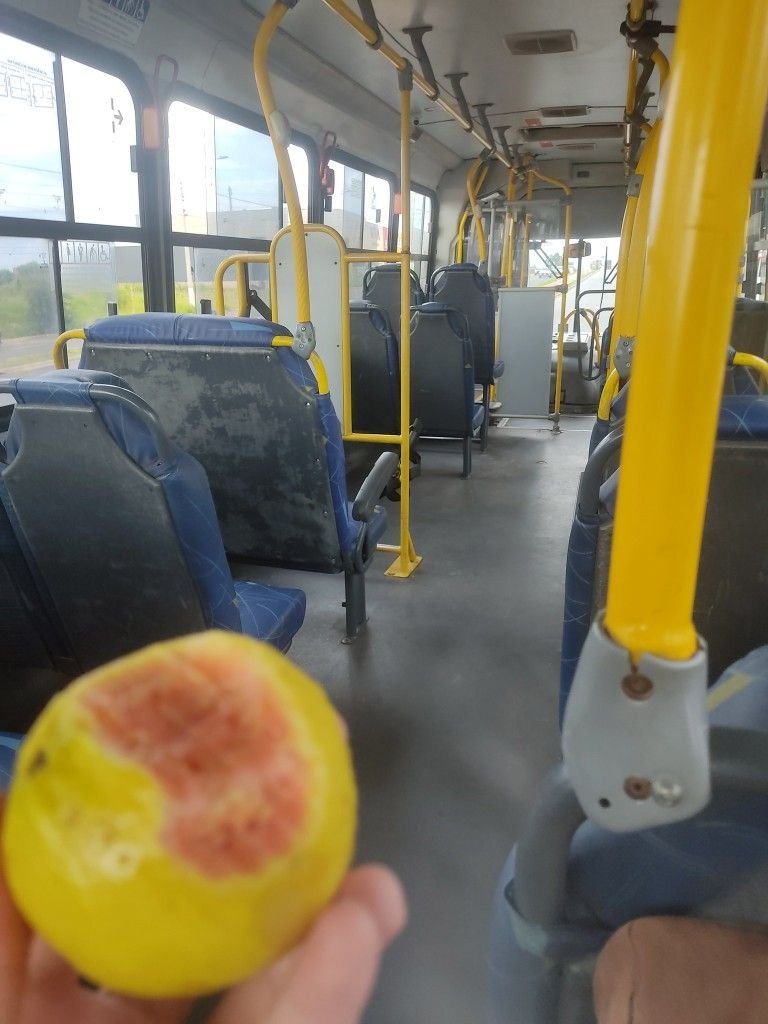 zapstickermeme's tweet photo. Eu zerei o JOGO https://t.co/nkEYWibrnr