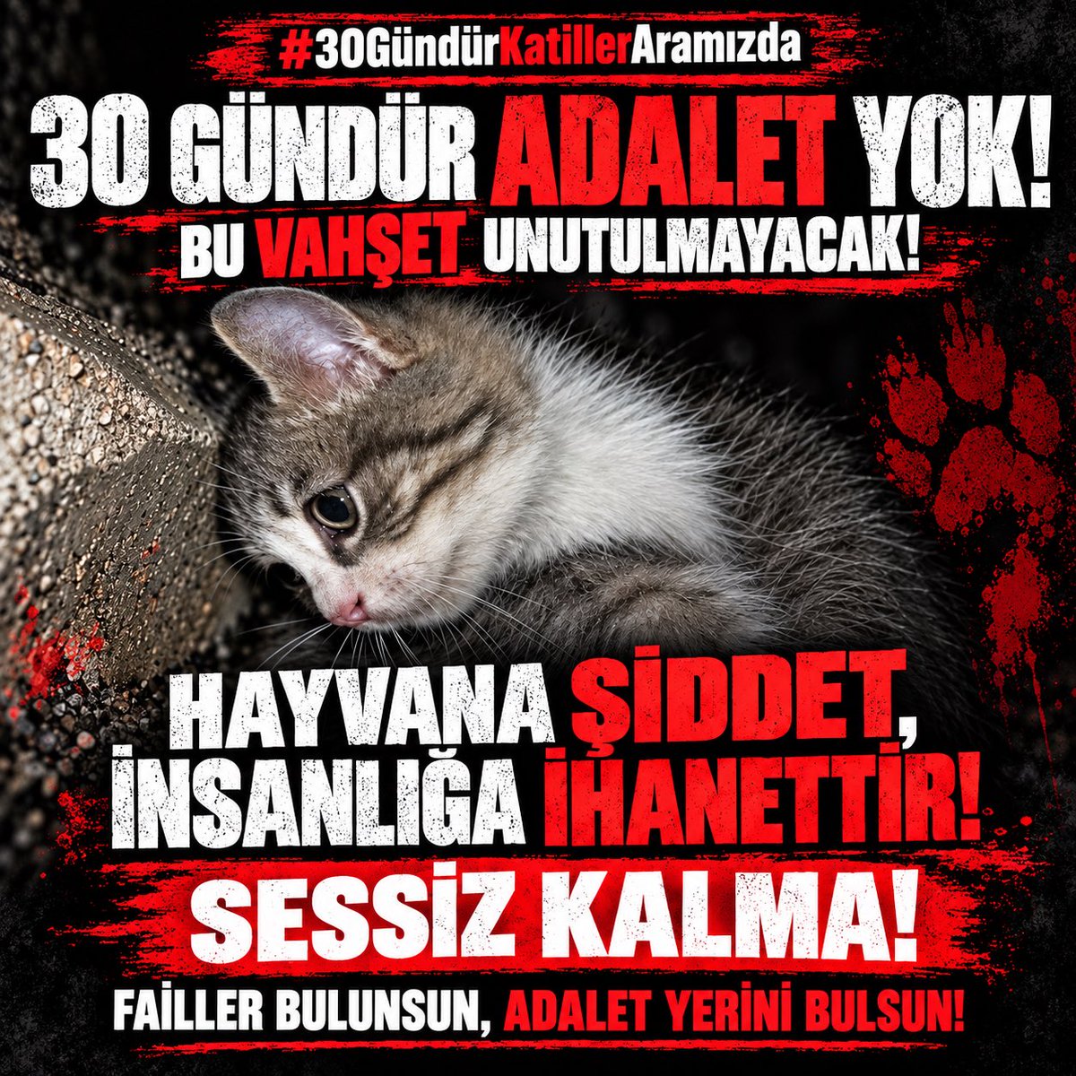 kochero's tweet photo. Minik için ses oluyoruz!

Haydi sen de ses ol! Hem miniğin adaletini iste hem de tüm zulümlere tepkini göster.

#30GündürKatillerAramızda https://t.co/XK1LzXniZ7
