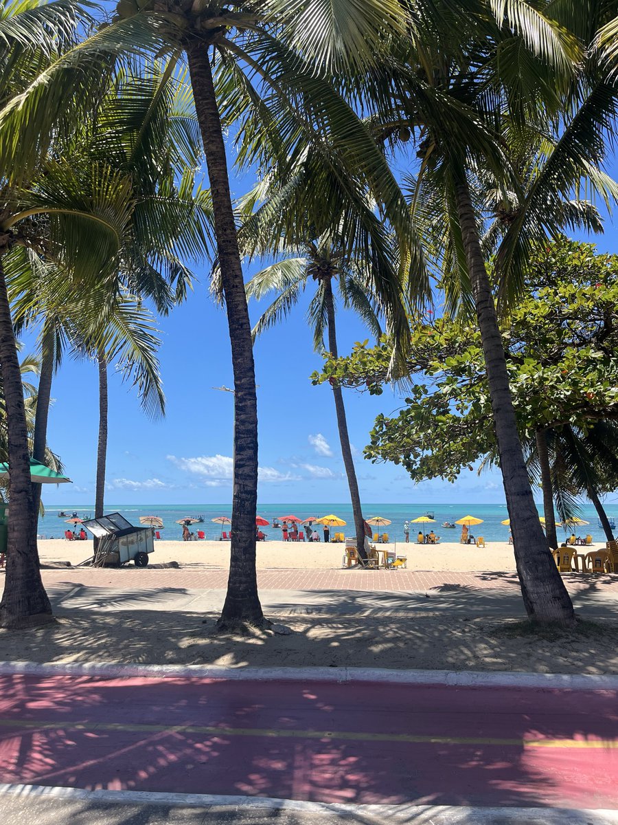 renxxta's tweet photo. pov vc está esperando o sinal abrir mas também está em maceió- al https://t.co/GECNm17INF