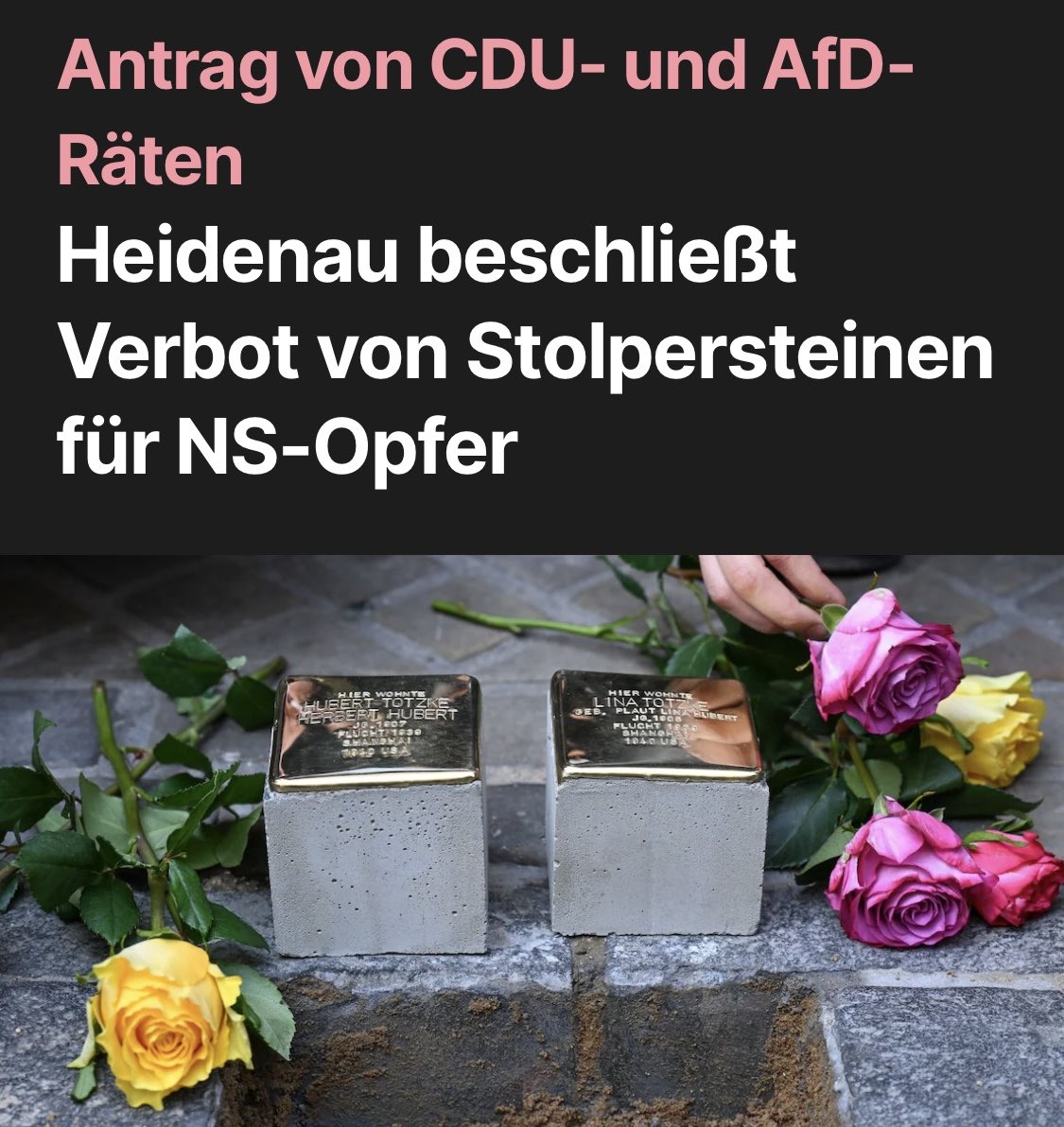 dokhollidays's tweet photo. CDU und AfD zusammen.
Meine Damen und Herren,
DAS ist Antisemitismus!
Unfassbar.

@focusonline https://t.co/jXTegrbAUR