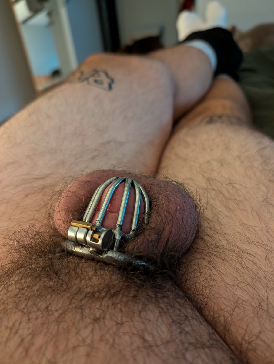 DerDevotling's tweet photo. Mein nutzloses Schwänzchen 🔒

#Sklave #Cuckold #Maso #Devot #Keuschhaltung #Locked https://t.co/sZU0ImcFPF
