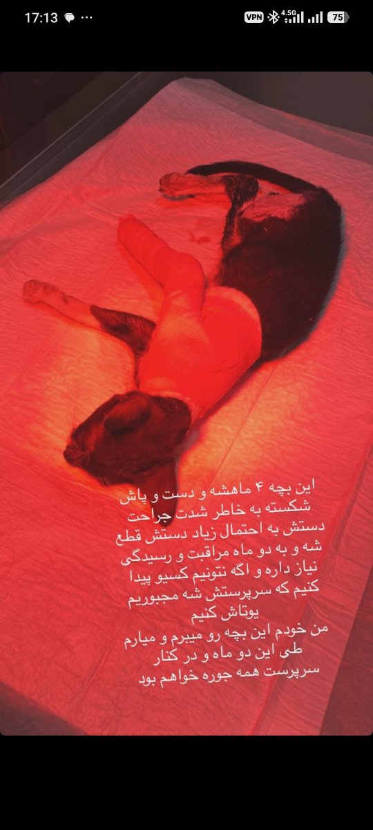 Mementoid1's tweet photo. خواهش میکنم اگر بندرعباس هستید به اشتراک بذارید تا این بچه رو نجات بدیم.
ممنونم. https://t.co/OoJzlPdZqe