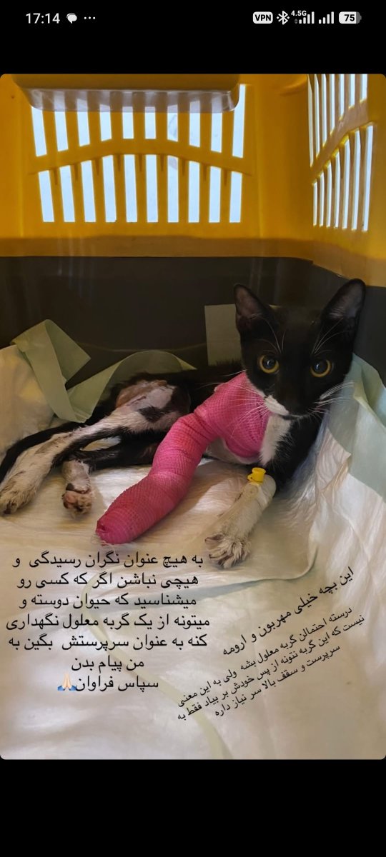 Mementoid1's tweet photo. خواهش میکنم اگر بندرعباس هستید به اشتراک بذارید تا این بچه رو نجات بدیم.
ممنونم. https://t.co/OoJzlPdZqe