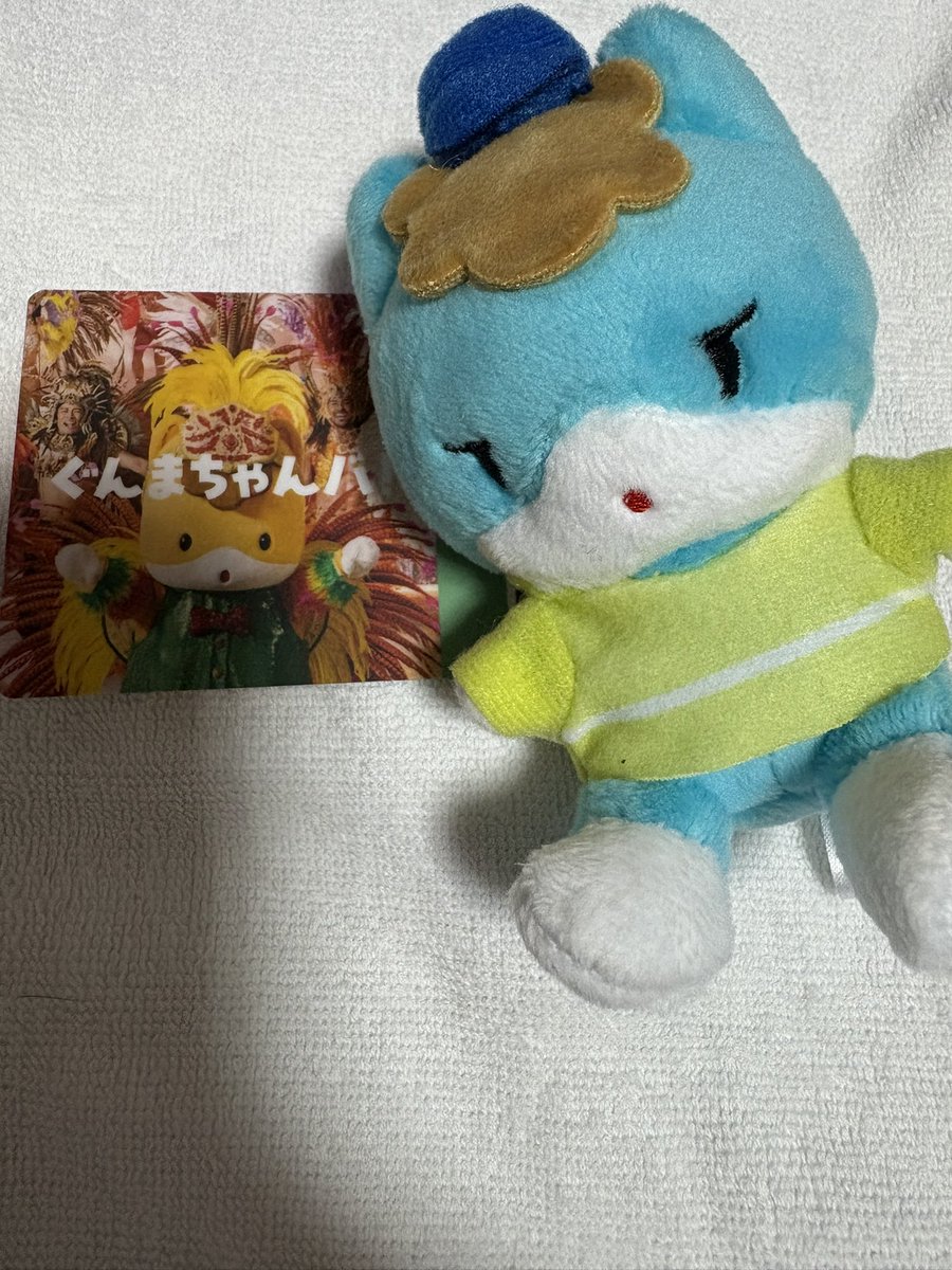 kisxmty's tweet photo. 隊員証頂けました🥰 https://t.co/r03cP5Kr6z