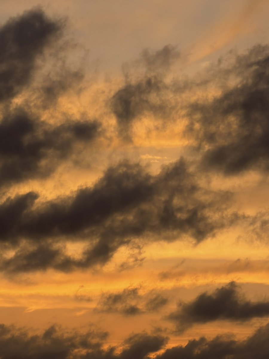 zeyadhasan12's tweet photo. Today’s sunset https://t.co/zx45F6Wn29