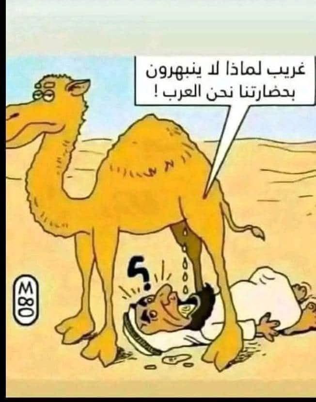 AdolfSbeed80394's tweet photo. @iryanlz @Araaboid تكبيرررررر  يا متناكة https://t.co/srTsO7bWSK