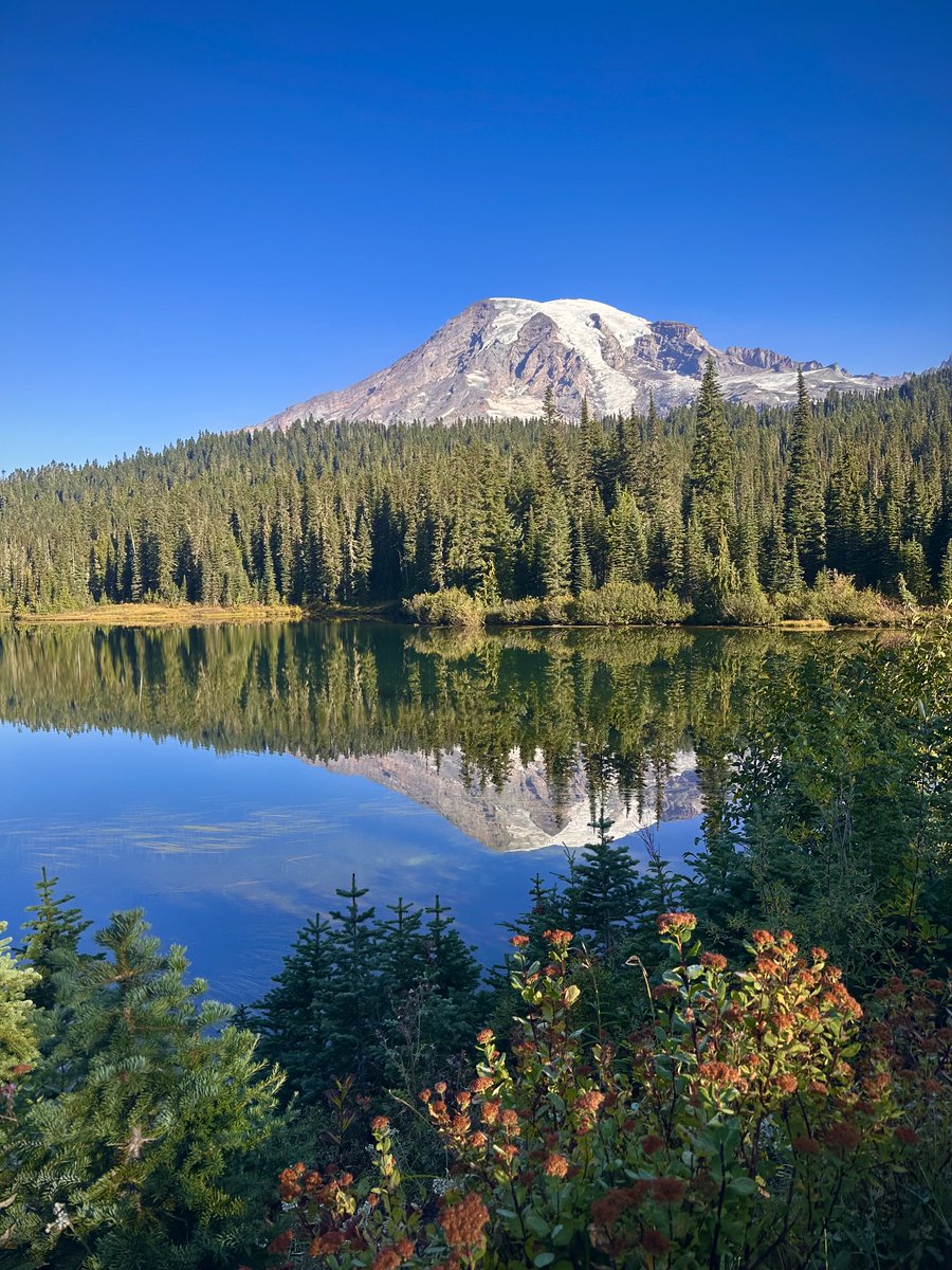 visitmtrainier's tweet photo. @MtRainierWatch And cue the posts from Mount Rainier...
#falltravel https://t.co/oe3dLftMnp