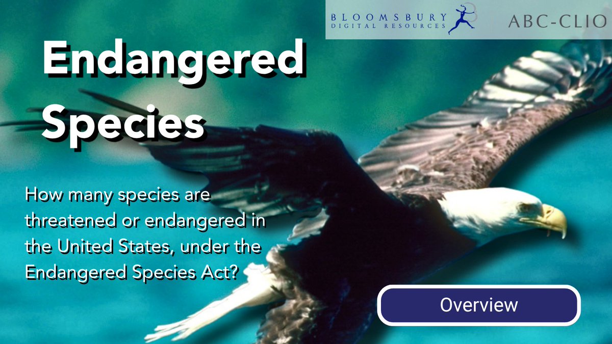 ABC_CLIO's tweet photo. What puts a species at risk of extinction? Learn about #endangered species, conservation efforts, and the ongoing challenges of protecting biodiversity with Issues: Understanding Controversy and Society. https://t.co/EAAgKKX97A https://t.co/r5kbliT5wZ
