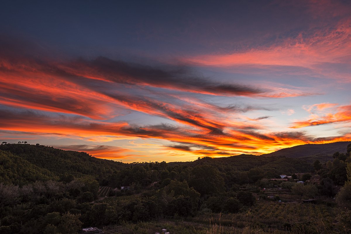santquintimeteo's tweet photo. #Capvespre rogenc espectacular avui amb núvols alts. @Vakapiupiuu @3CatInfoelTemps @meteorac1 @alcantara_alb @btveltemps @SoniaPapell @SergiLoras @Meteomaxima @tempsdemeteo @MeteoPenedesTV @IsaacVila9 https://t.co/HidH3TrZnp