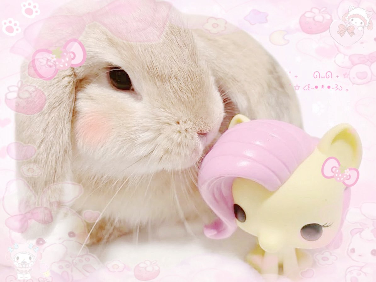 swugrbunnie's tweet photo. https://t.co/l9pZxr5fss