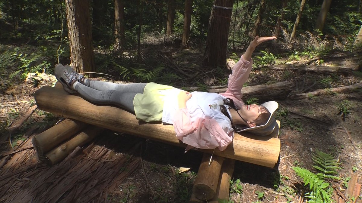 ChukyoTV_PR's tweet photo. ／
🌳林修の新林学のススメ。
　～森と人の新常識～
9月26日㊏24時55分放送🌱
＼

地球沸騰化時代に豊かな生態系を保つ
愛知県瀬戸市の「海上の森」を
SKE48熊崎晴香が徹底調査📝

林修もびっくりの、日本一の〇〇を探す👀

出演🍁
🌳林修
🌳SKE48 熊崎晴香 https://t.co/a34n48jsVo