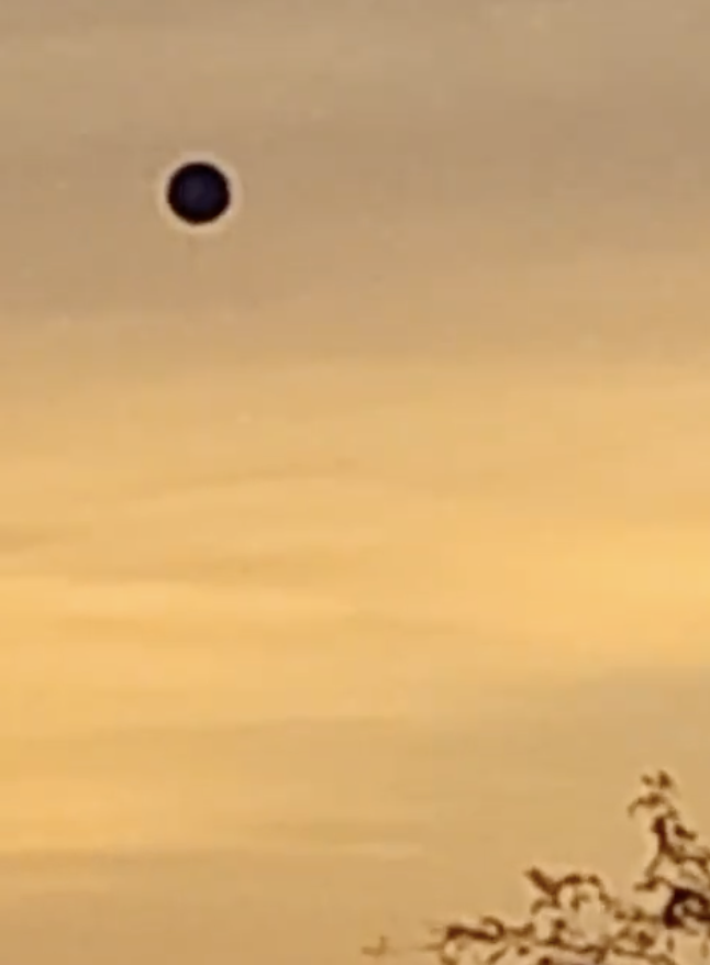 UAPWixy's tweet photo. 🚨"Bro, there's a black ORB just hovering in the distance back there.."

"WTF is that!"- Cameraman. https://t.co/gmQNMLeKRJ