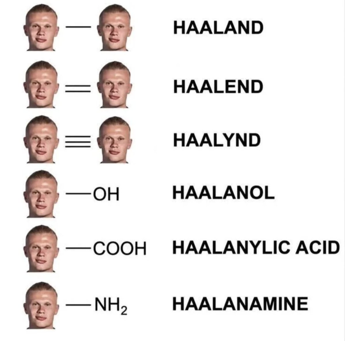 TrollFootball's tweet photo. An easy guide to learning basic Organic Chemistry https://t.co/wybhP0ooM4