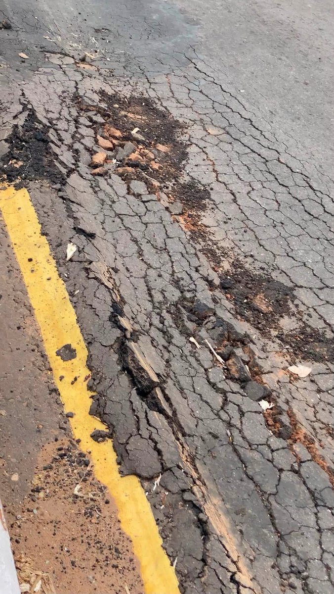 anasin2088417's tweet photo. @MSIngawa Sir. kana da labarin titin da yai mana a  funtua har ya fara murmushewa kuwa? 
Don Allah Taya za Aiwa katsina Road irin wannan titin?
At least fa Sama da trailer 50 ko 100 se tabi wannan titin kullin Rana duniya kuma cike da Kaya
Titin fa Daga kasa se kolta https://t.co/jAbkCsHH8W