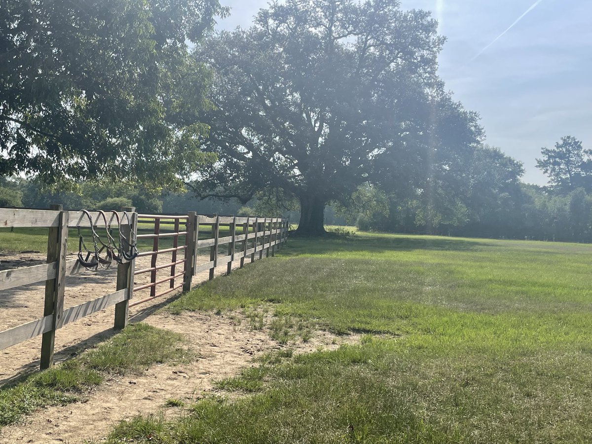 CDatrio26831's tweet photo. So we need some help to finish out September.  Please help us raise $1000 to get us through the end of the month.  Everything will go towards feed and hay.  We can do this!  

PayPal:

Cindy@thoroughbrednetwork.net

Venmo:

@trnlhorses

CashApp:

$trnlhorses

Thank you!  Please share!