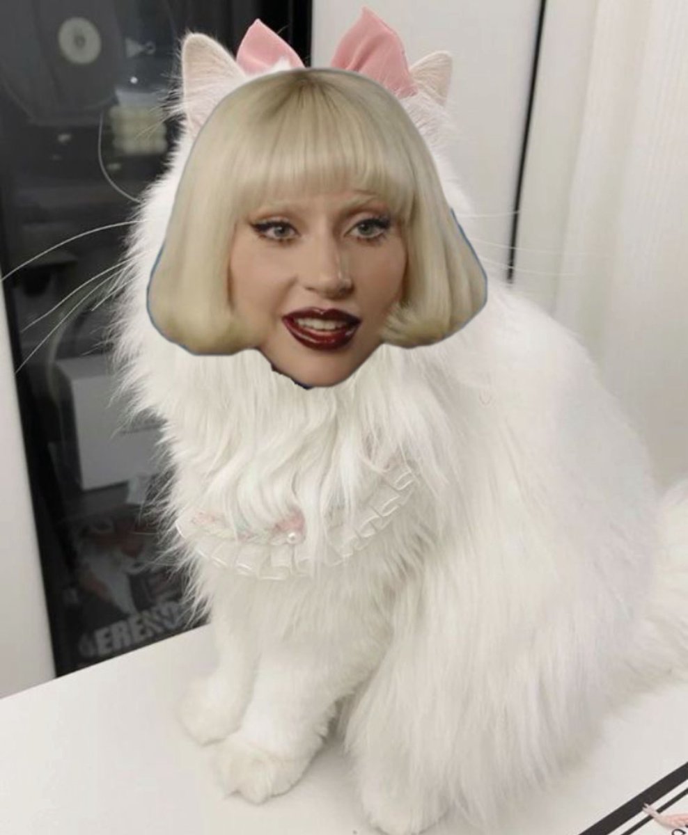 gagatinhaacervo's tweet photo. nova espécie de lady gagatinha desbloqueada https://t.co/3A1q1d3RbX