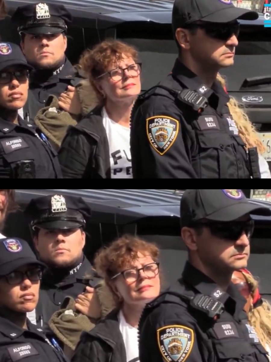 landpalestine's tweet photo. Susan Sarandon and Jewish actress Hannah Einbinder were just arrested at pro Palestine protest for chanting arrest Netanyahu in NYC https://t.co/mgTEgu0j79