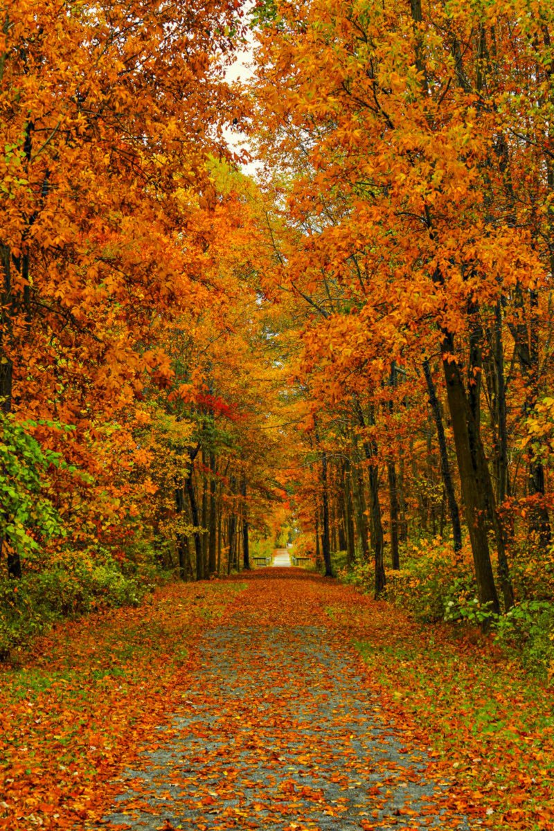 marizulca's tweet photo. Lovely 
🧡🧡🧡

                                    Day
                                🧡🧡🧡 https://t.co/PYxufSvH1O