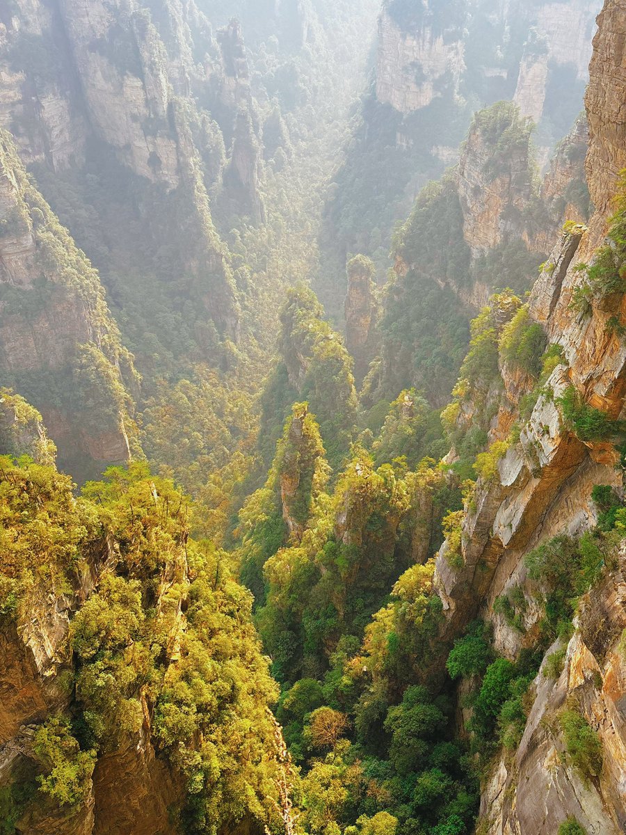 kumayano's tweet photo. y'a chongqing, zhangjiajie et puis le reste du monde loin derrière https://t.co/bGTT5zx9iP