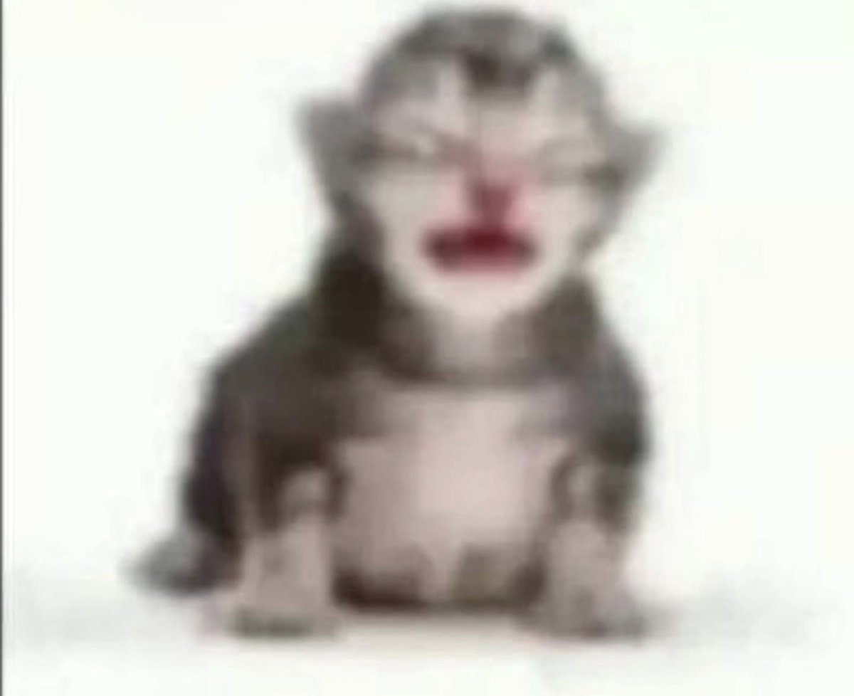 solivielle's tweet photo. GUYS IT'S ME SOL PLEASE DON'T UNFOLLOW https://t.co/mE6lJAekgT