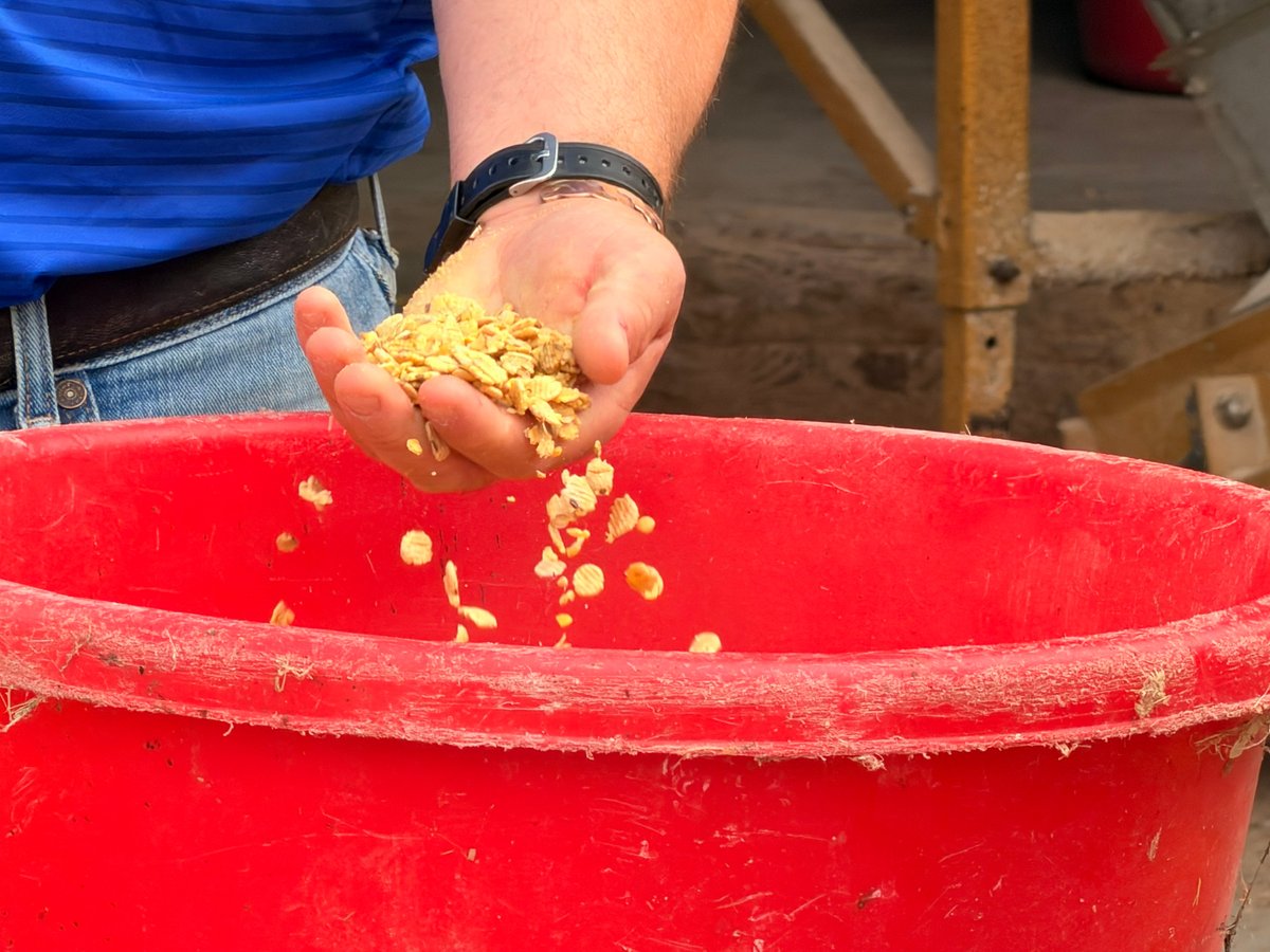 CleanFuelsAA's tweet photo. From food, feed and fuel to industrial uses, soybeans are a versatile crop adding value across multiple industries. Last week during @sdsoybean's media tour, Heather Buechter and Jason Brasier got a firsthand look at the many applications driving demand for #soybeans including a stop at #biodiesel distributor Vollan Oil. 

The tour provided an opportunity to educate audiences on soy's sustainable impact and the innovation moving the industry forward. 

#connectedenergy