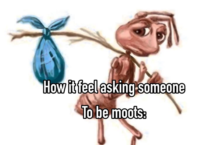 Elowyn444's tweet photo. Moot Hunt 
˚.⋆꒰১ ໒꒱⋆.˚ 17, cw: 48kg Gw: 40kg ugw: 38kg˚.⋆꒰১ ໒꒱⋆.˚
                            #edtwt #anitwt
ꨄ︎ to be moots https://t.co/busCMH8hAG