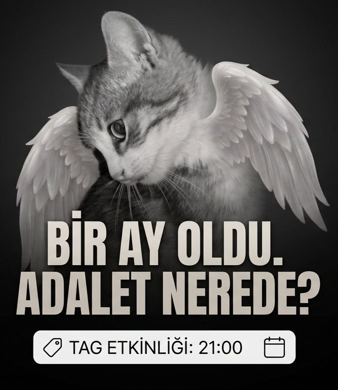 ARZUSOFUOLU's tweet photo. Minik ve tüm katledilen canlar için adalet istiyoruz. 
#30GündürKatillerAramızda https://t.co/BNSSmBG23u