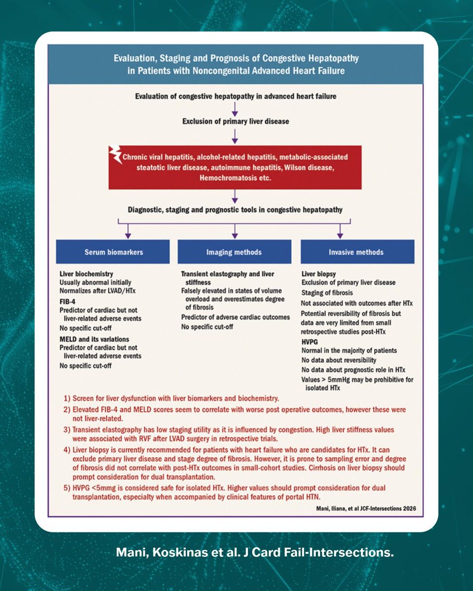 JCFINT's tweet photo. How should we assess congestive hepatopathy in advanced HF?

Conventional liver tests can be misleading. This State-of-the-Art review explores multimodality assessment, including biopsy &amp; HVPG, and individualized heart vs heart-liver transplant decisions.

https://t.co/ioASmkSTX9 https://t.co/szMnyTvfHZ