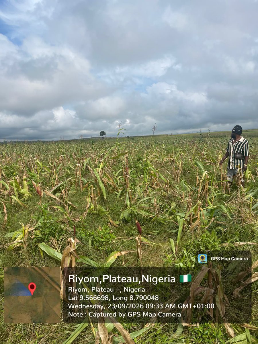Farmer kills herder's cow in crop dispute; military responds in Kaduna