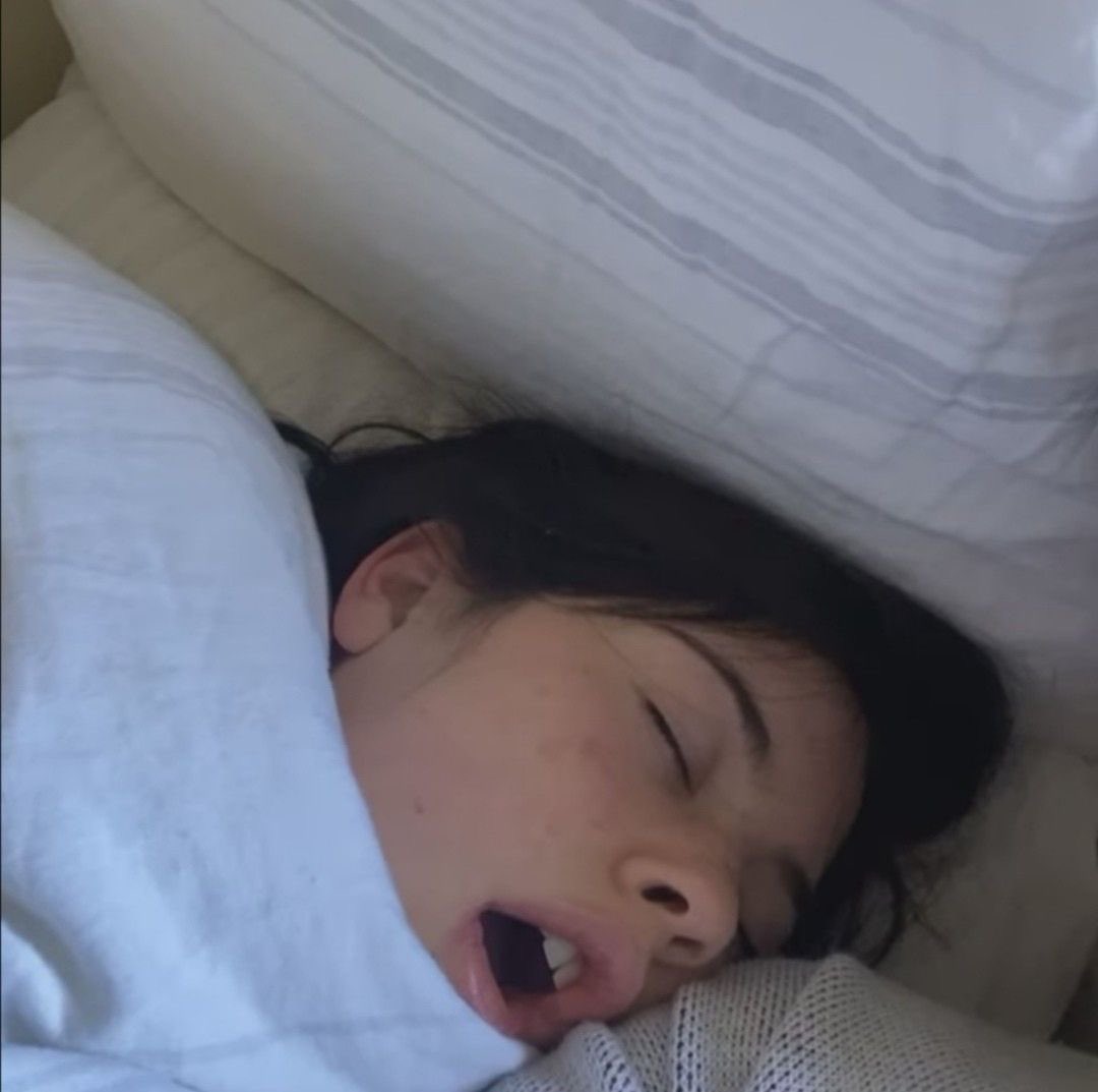 taygracielizzy's tweet photo. gracie sleeping https://t.co/uIOiYKFkR2