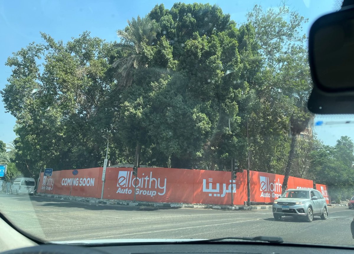 aflattoonna's tweet photo. ايه ياتري اللي coming soon مكان الشجر!!؟ ماهو يا مول يا كافيه ياعربيات حلبسة https://t.co/DqDCuyaJe0