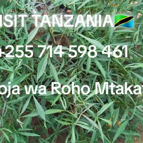 KituaM47329's tweet photo. #NewProfilePic https://t.co/DWBnYbfJcD
