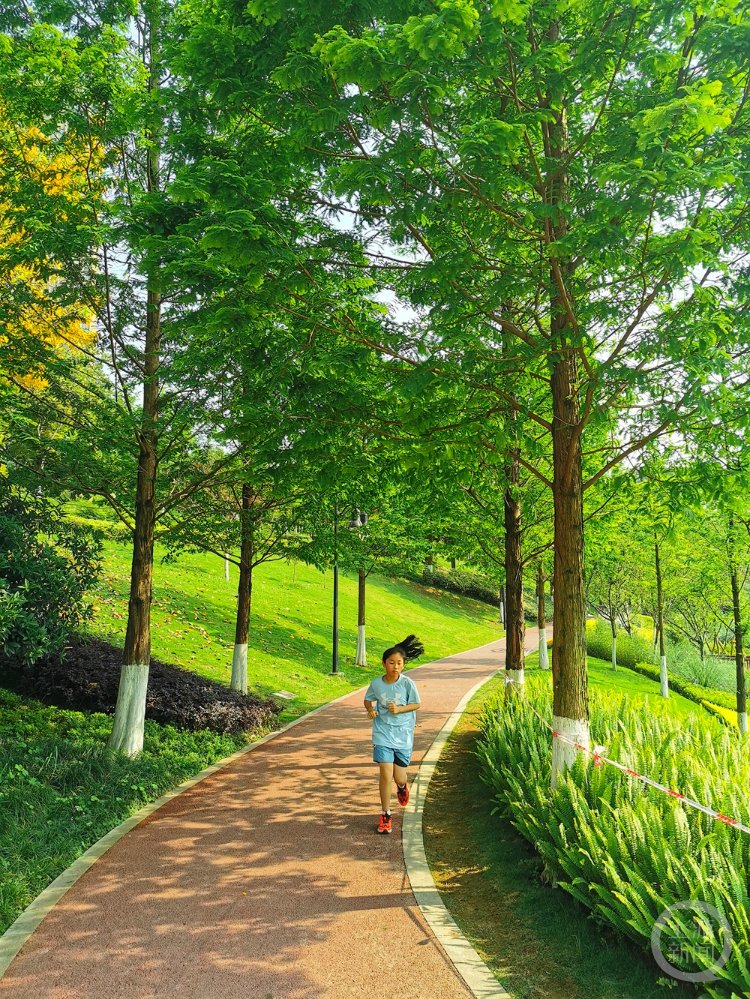 TodBinetfah's tweet photo. Start your 10-minute daily walk—no fancy gear needed! It boosts mood, sharpens focus, and supports heart health. Small steps = big health wins. ， https://t.co/nHCendKiaj