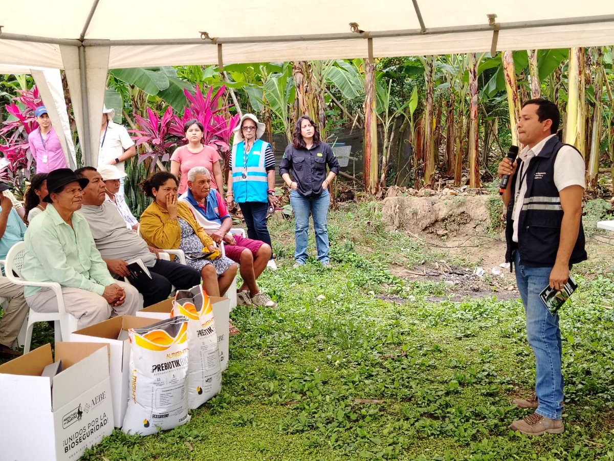 AgrocalidadZ5's tweet photo. 👨🏻‍🏫 | #AgrocalidadCapacita

Junto a @PrefGuayas y @aebeecuador, en #Milagro, capacitamos en medidas de bioseguridad y reconocimiento oportuno de síntomas de #FocR4T y Moko, fortaleciendo prevención, manejo sanitario y proteger cultivos de musáceas.

#ProtegemosElAgroEcuatoriano 💪🏼 https://t.co/8i2tbU3Q9J