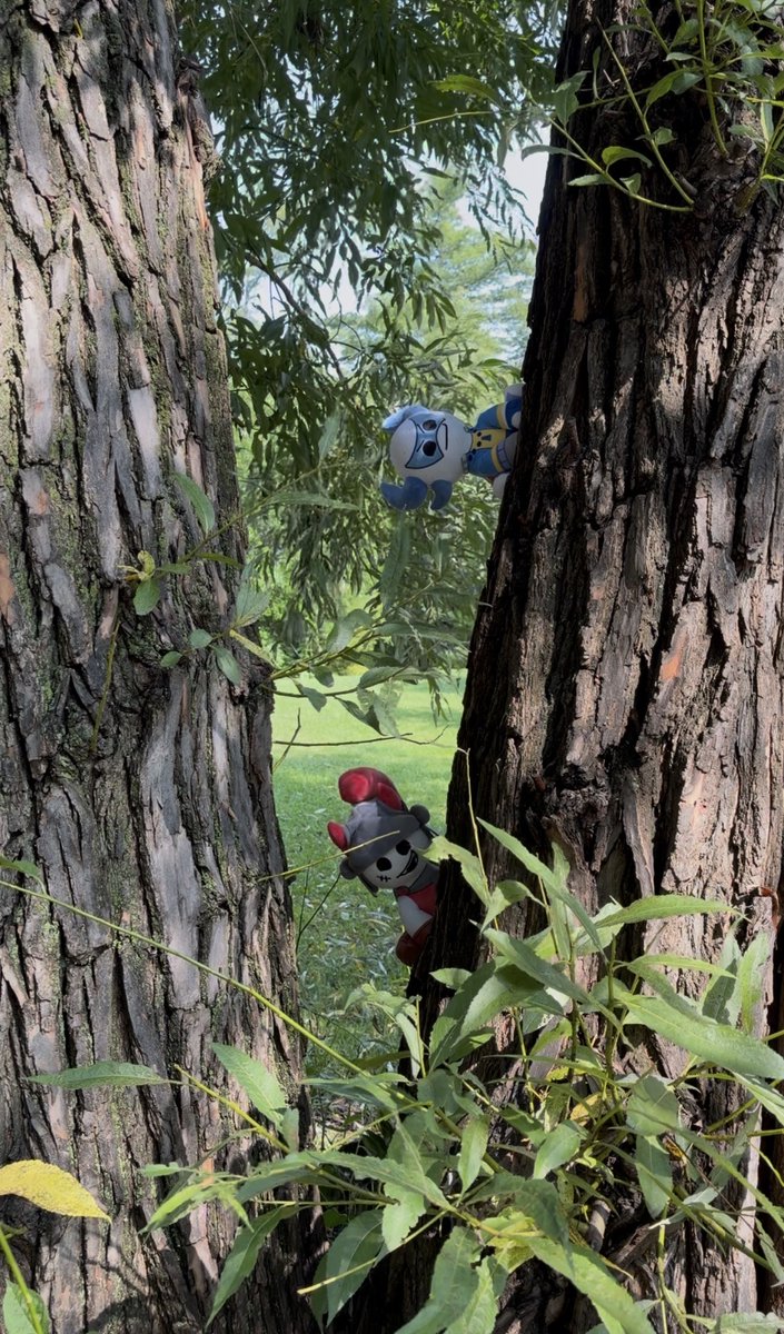 Makeship's tweet photo. who would win in a game of hide &amp; seek??? https://t.co/GZUxHBDiWh