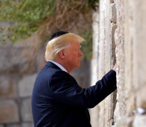 WayneWaldropW's tweet photo. Normalize saying "I am not voting for a wall kisser". https://t.co/9imSESCskN