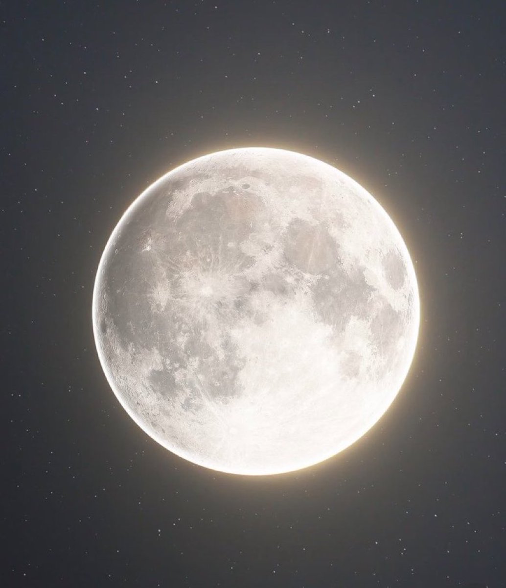 M1ONLOVER's tweet photo. Full Moon https://t.co/ay0WkCTVnS