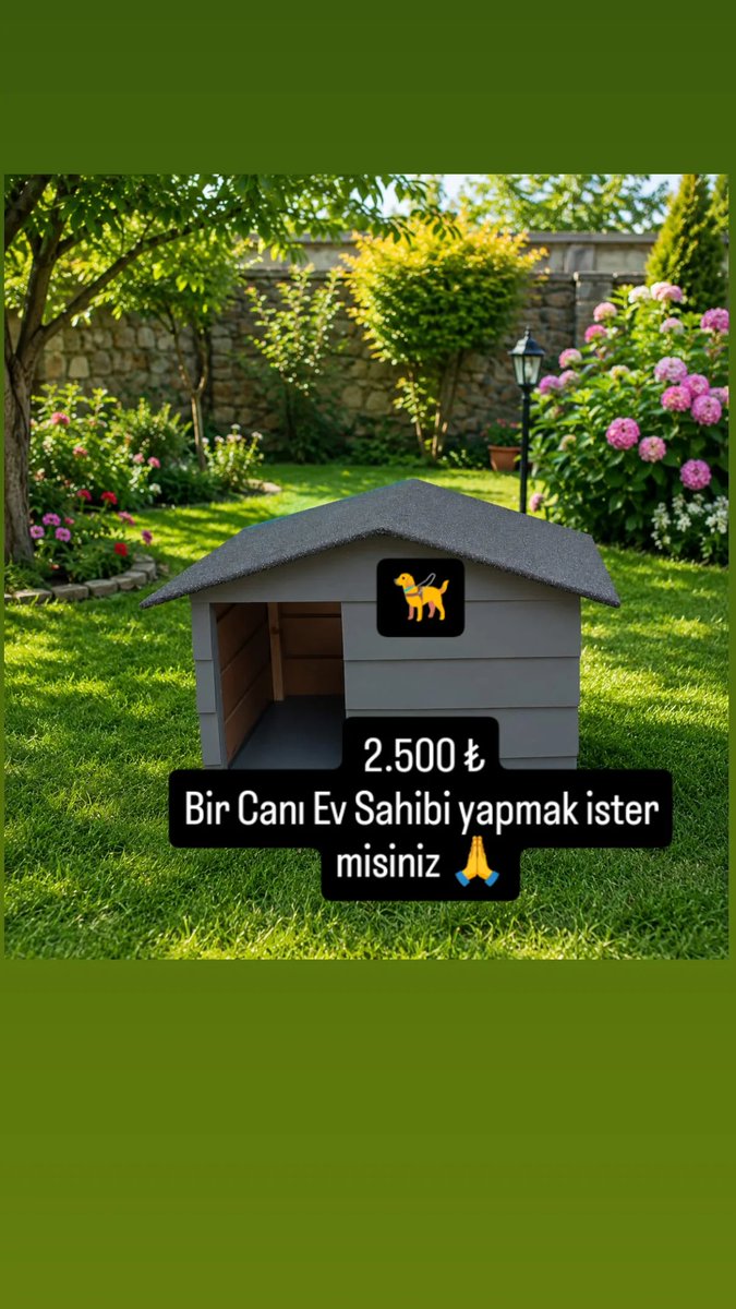 AyseLoveAnimals's tweet photo. 💨Dostlarımız !  

Çocuklarımızın için yeterli Kulubemiz yok..! 

🚨 Acil 70 Adet  Kulübe almamız gerekiyor.🦮

💨Havalar soğumaya, yağmurlar yağmaya başladı.. 🌧️

Bizim de KIŞ hazırlikları telaşımiz başladı.

Yazdan beri kurtardıgımız canlar ve büyüttügümüz yavrular o kadar çok oldu ki.. Bu kışa yeterli Kulubemiz ve Yeterli kuru alanlarimiz yok.. !

Mecburen Acil kulübe almamız ve Kuru alanlar yapmamız gerekiyor.

Yeni yerimizde geçen kış ne kadar çok Kâr yağdıginı 1 metreyi aşan Kâr yağdıgını hep birlikte gördük..

Kışın çocuklarımizin Açıkta kalmaması  için Acil Kulübe almamız gerekiyor.

Hep birlikte yine başarabilir miyiz 

👉 1 adet büyük boy kulübe 2.500 ₺
👉 1 Adet orta boy kulübe 2.000 

Hangisine gücünüz yeterse ona destek olabilirsiniz..

🌟Kimler " 1 EV BENDEN OLSUN " der..🙏🦮

Kimler destek olabilir 🙏 

👉 Profilimizdeki BİO dan YASAL hesabimiza BAĞIŞ yapabilirsiniz..