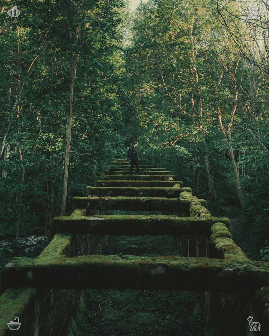 omuuutsu's tweet photo. Embrace life exactly as it unfolds. Each error eliminates one incorrect route from your journey. Do not dread setbacks; absorb their teachings swiftly and advance more wisely, nearer to the aspirations you cherish deeply within your soul. https://t.co/zWulPEKNYx
