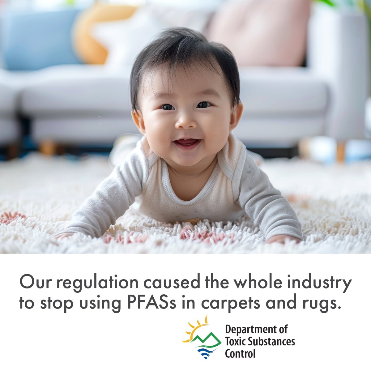 CaliforniaDTSC's tweet photo. PFASs, known as “forever chemicals,” stay in our bodies and the environment. 
#DTSC's PFAS rule for carpets &amp; rugs keeps about 250,000 pounds out of homes each year.

🔗Learn more: https://t.co/flujCEsYNZ
#PFASAwarenessWeek https://t.co/dzELjX9EpV