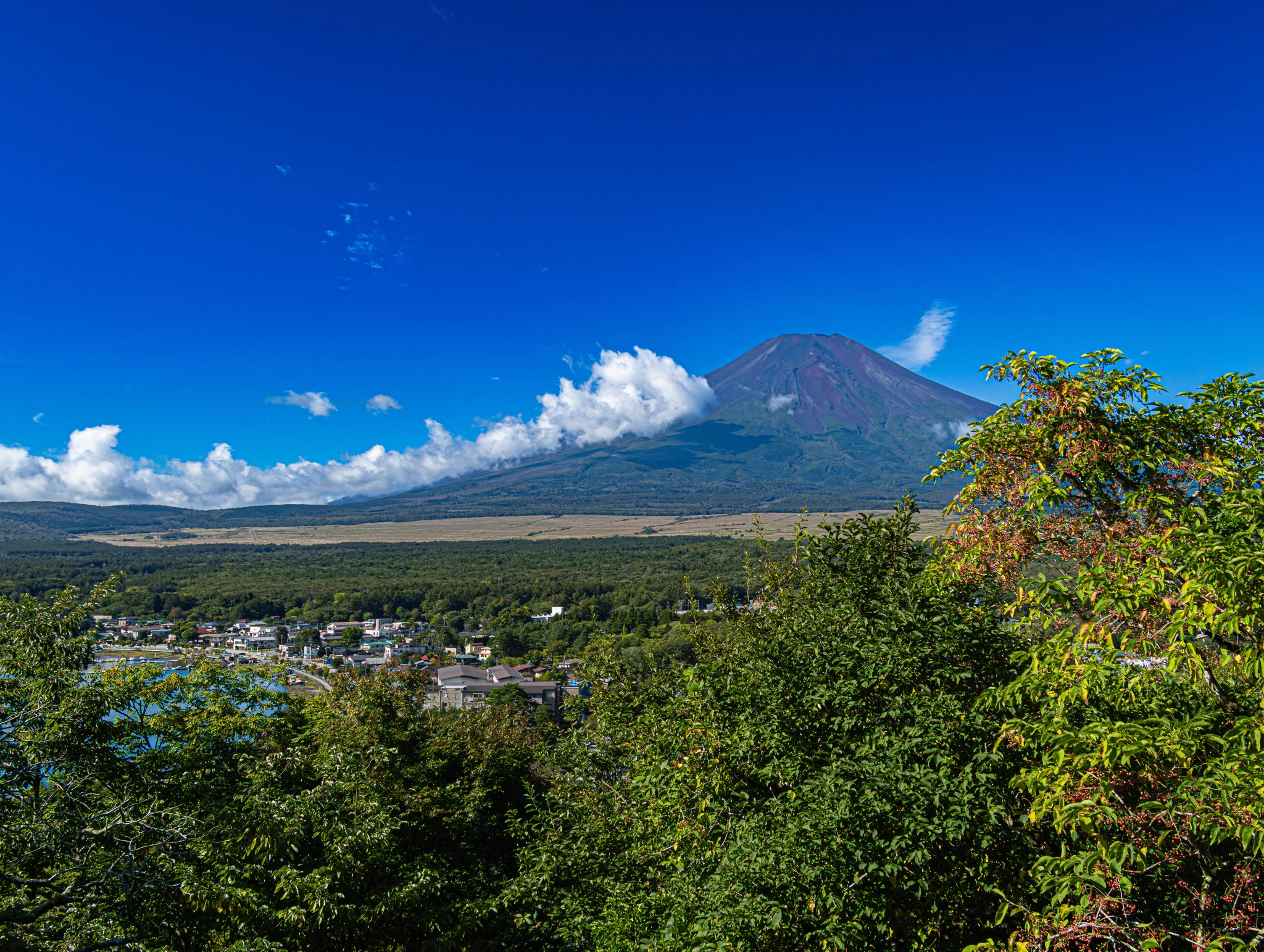みはえる ｜ 富士山写真家 on X: 