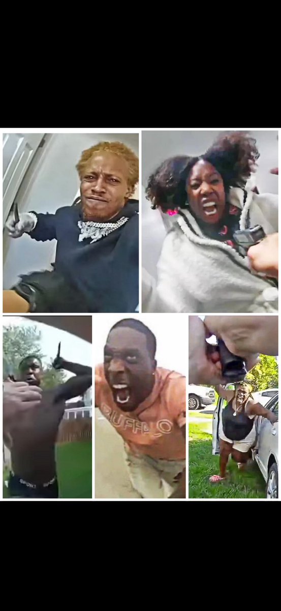 RobNoticesAll's tweet photo. @TristanBallar13 @gayropevictim @JohnsonAyd29163 @comeoverwontyou @zimmysucks Niggеr cope on a white mans app LMAO keep dying Niggеr we don’t accept you 😂 https://t.co/EtK3Om6gSj