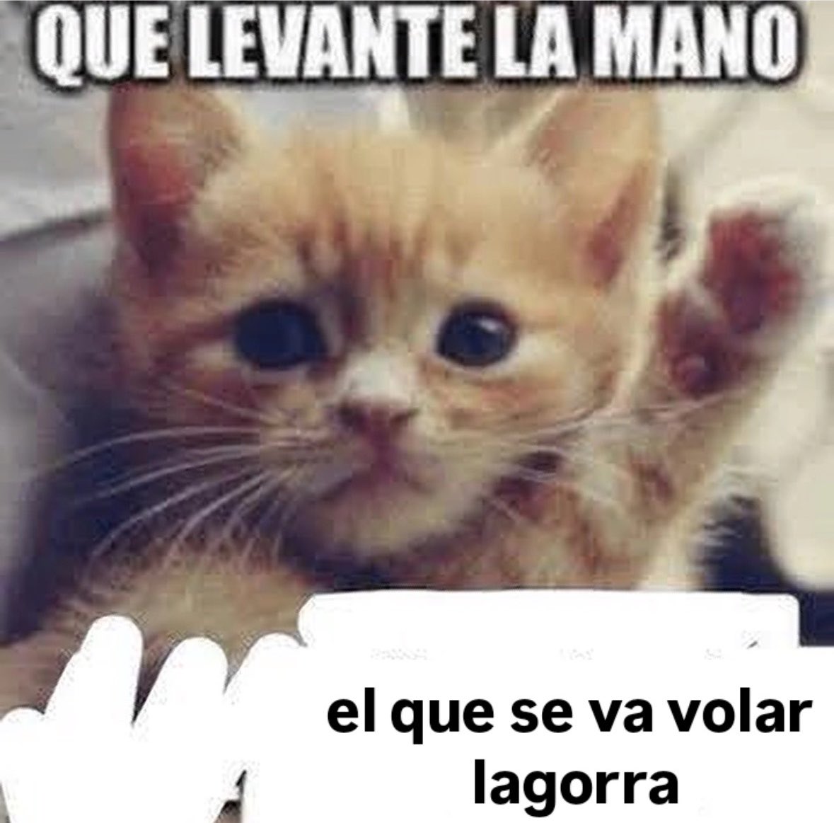 facujoseo's tweet photo. https://t.co/Za3wVMPek1